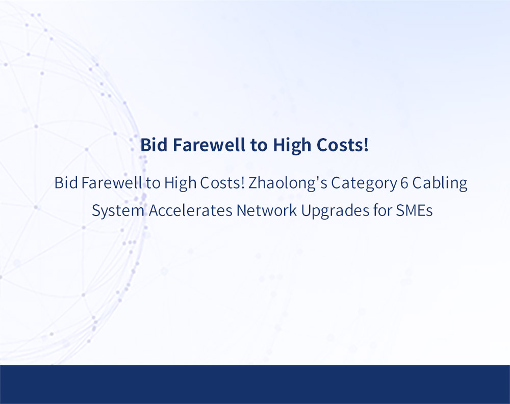 Bid Farewell to High Costs! Zhaolong's Category 6 Cabling System Accelerates Network Upgrades for SMEs